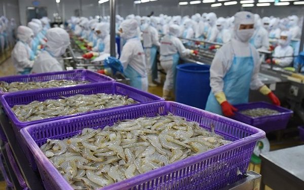 Tôm Việt có nguy cơ mất thị phần tại thị trường Mỹ