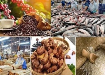 Gạo, thủy sản, gỗ đồng loạt tăng tốc; xuất khẩu nông nghiệp hướng tới 65 tỷ USD