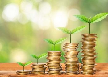Rào cản khiến doanh nghiệp Việt chưa tiếp cận được nguồn vốn xanh