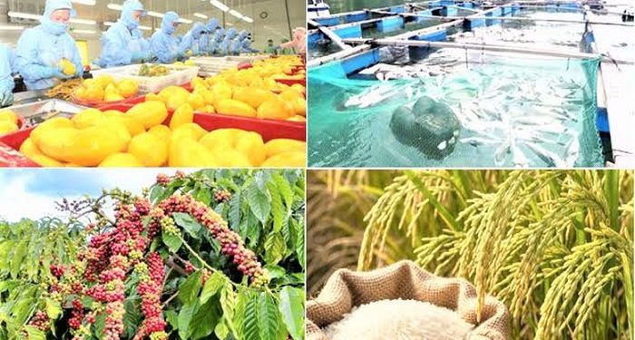 Giảm phát thải: ‘Giấy thông hành’ cho nông sản xuất khẩu