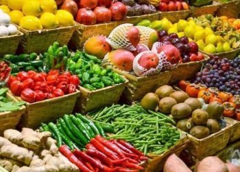 EU, Mỹ đồng loạt cập nhật quy định SPS mới: Doanh nghiệp xuất khẩu nông sản cần chuẩn bị gì?