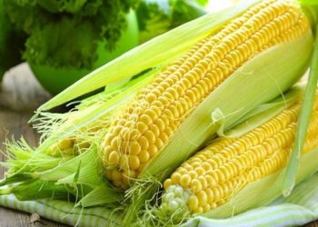 Giá ngô lao dốc do áp lực chốt lời