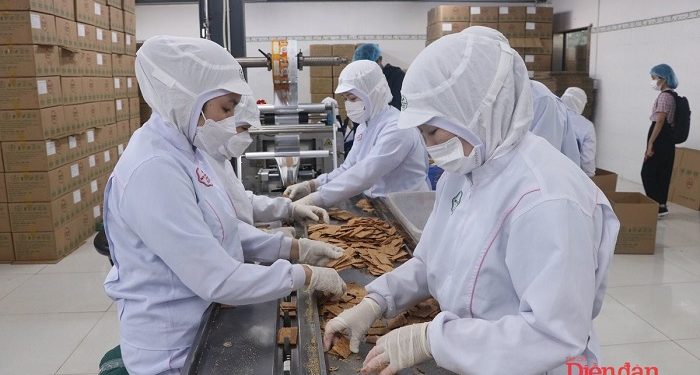Đà Nẵng: Đề xuất thành lập quỹ đầu tư tạo nguồn lực cho doanh nghiệp