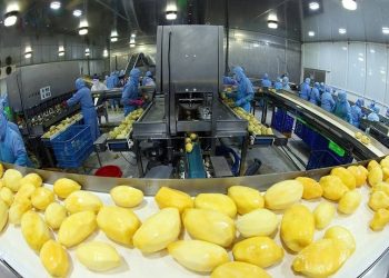 Xuất khẩu rau quả lập kỷ lục mới, lần đầu vượt 1 tỷ USD trong một tháng