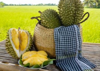 Sầu riêng Việt Nam phải tăng giá trị thay vì tăng diện tích