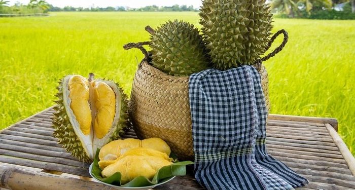 Sầu riêng Việt Nam phải tăng giá trị thay vì tăng diện tích